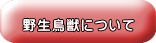 野生鳥獣について